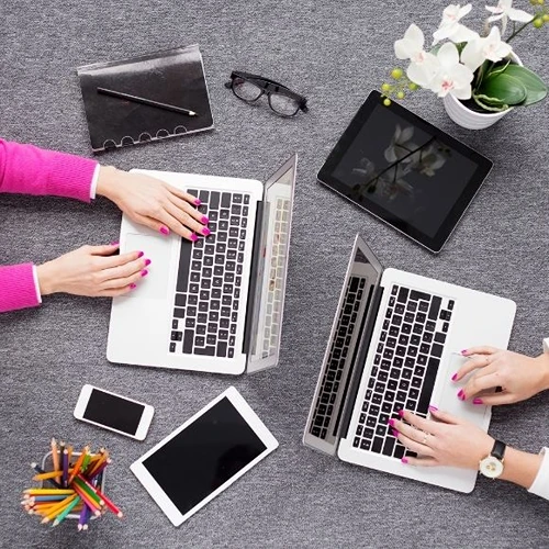 Alacakaya Web Tasarımcı